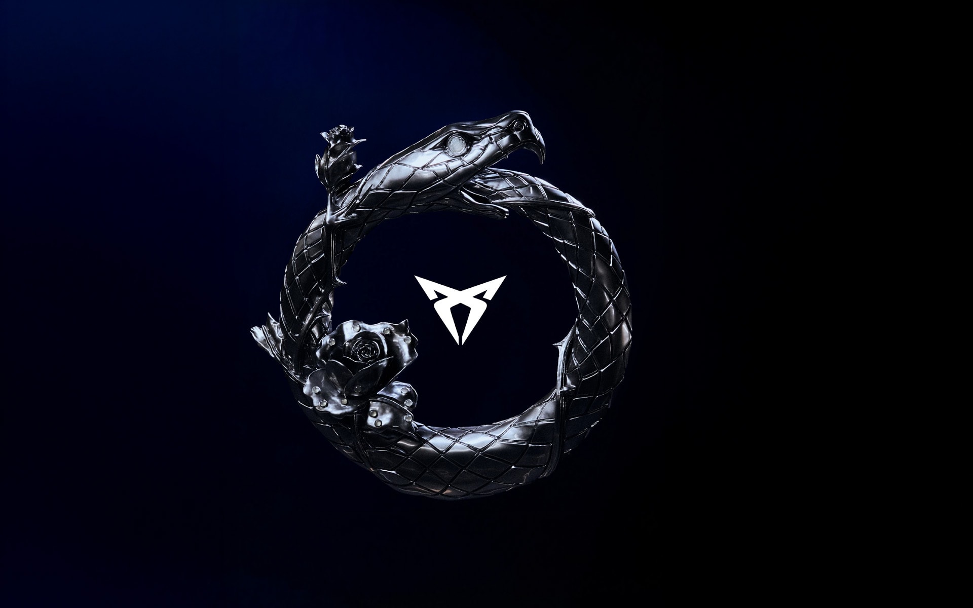 CUPRA Gallery: OWN THE WHEEL