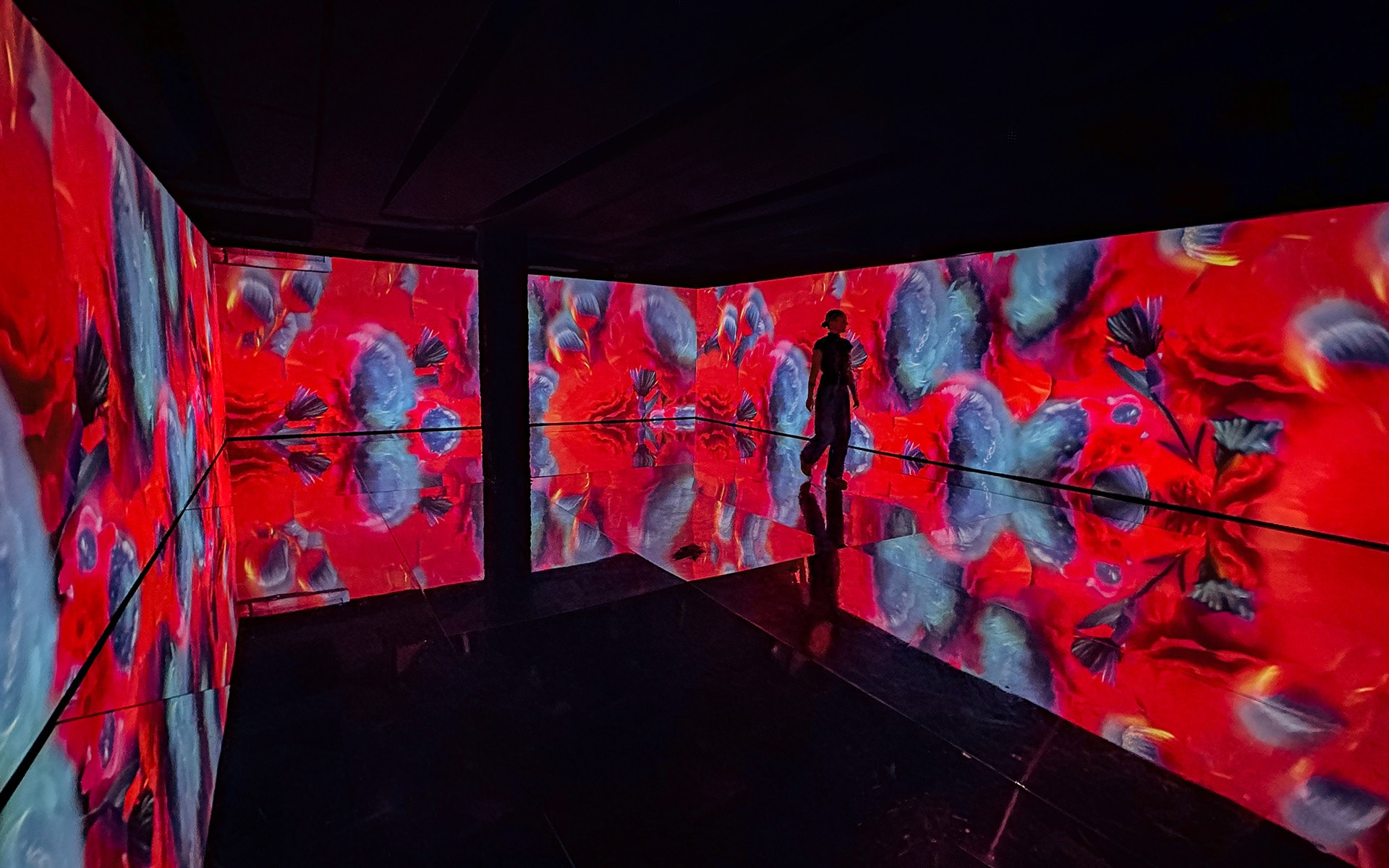 imagen inmersiva de la performance de PHotoESPAÑA