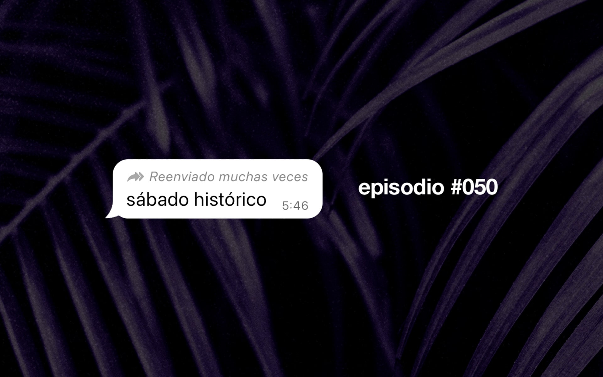 Live podcast: Wololo Sound