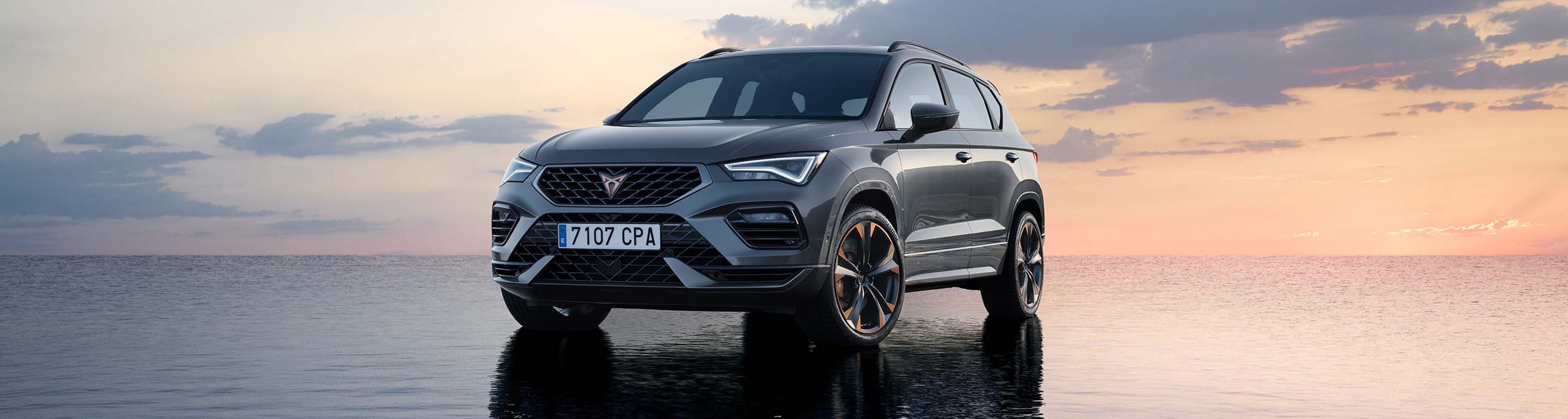 Servicios online CUPRA CONNECT Ateca
