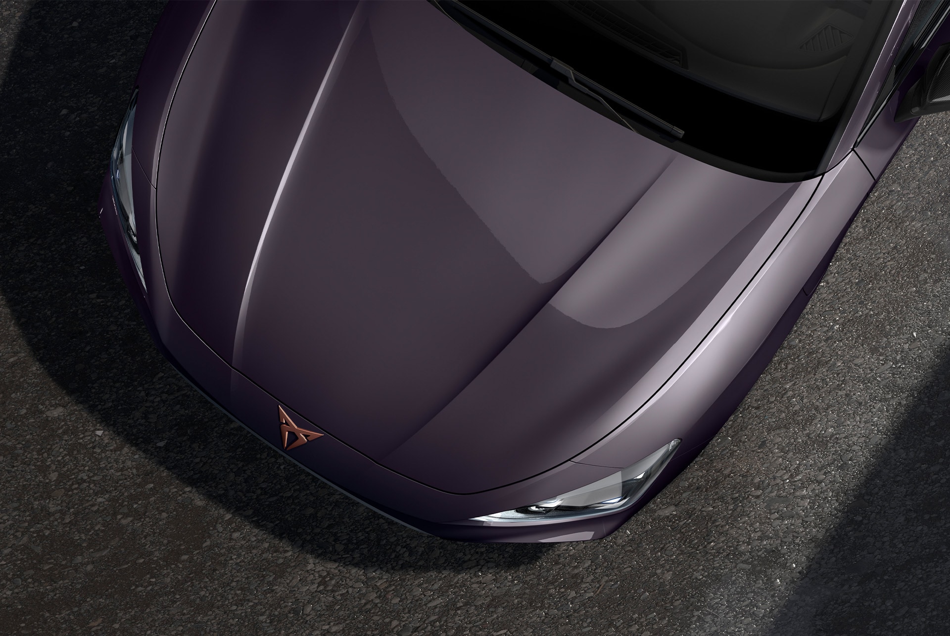 bird’s eye view of an dark void cupra leon sportstourer car hood