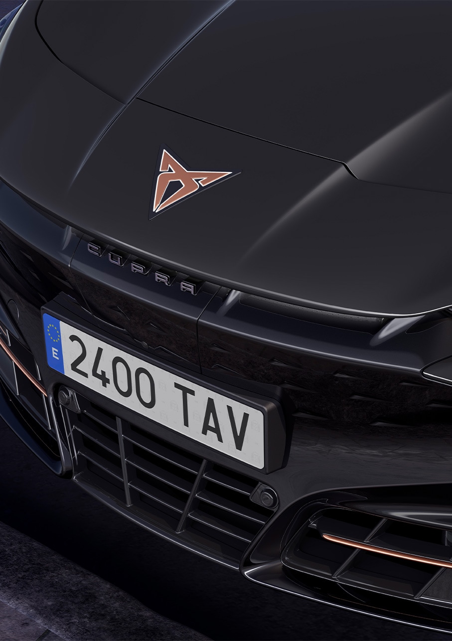 Coche Tavascan 2024 color urano grey