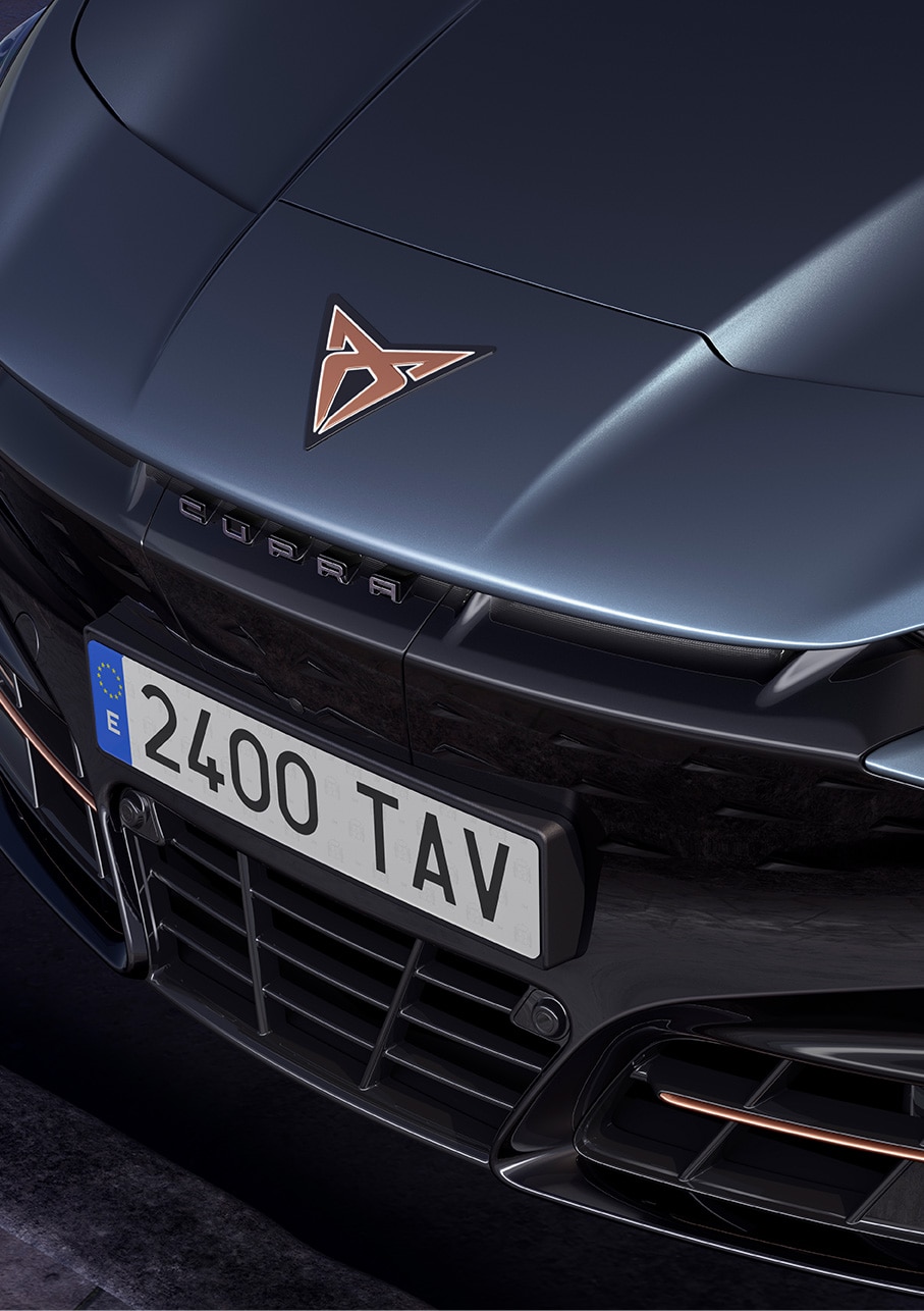 Coche Tavascan 2024 color azul, toma ariel 