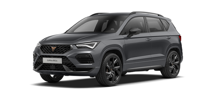 2.0 TSI 221kW (300CV) DSG