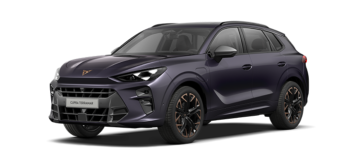 1.5 eTSI 110kW (150CV) DSG